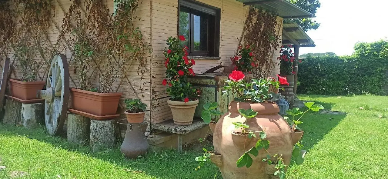 Séjour à la ferme Agriturismo La Talpa Marsiliana d'Albegna