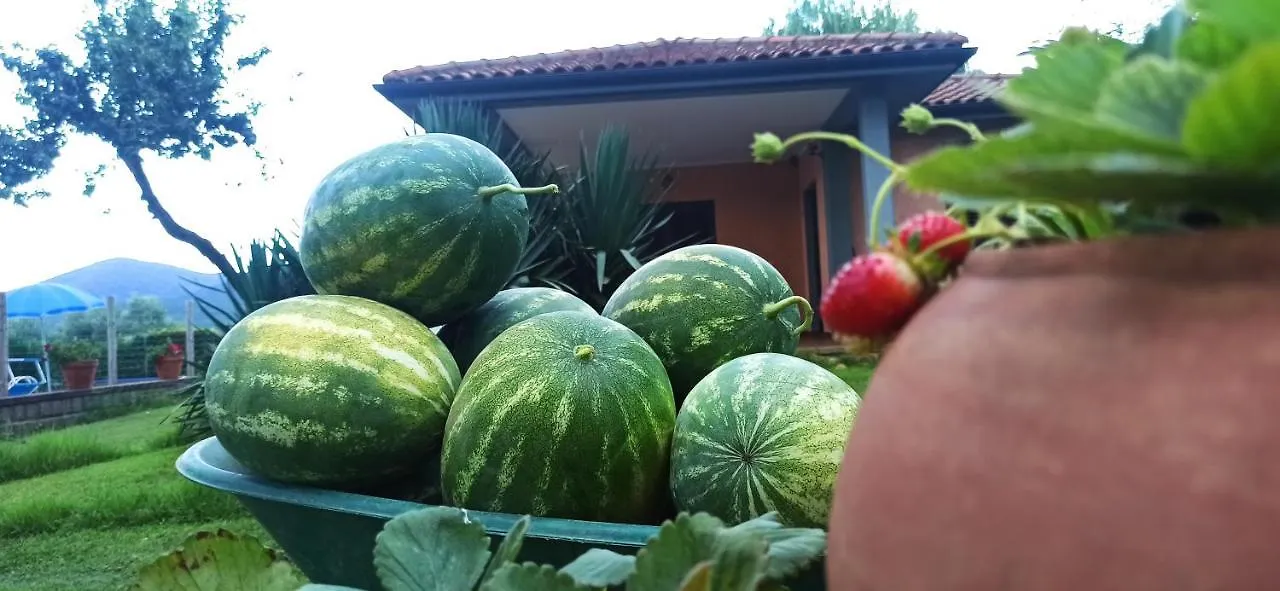 Agriturismo La Talpa Marsiliana d'Albegna Italie