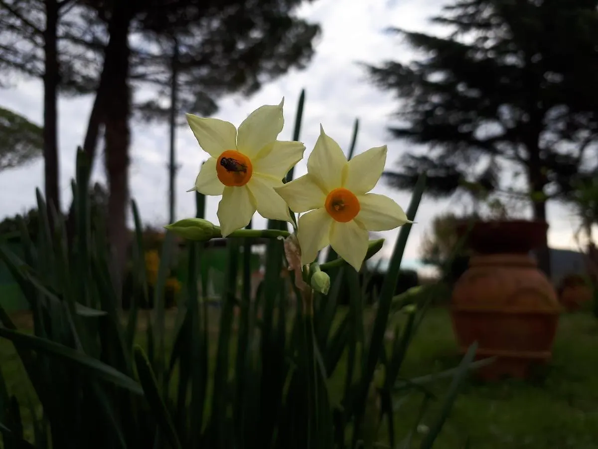 Agriturismo La Talpa Marsiliana d'Albegna Séjour à la ferme
