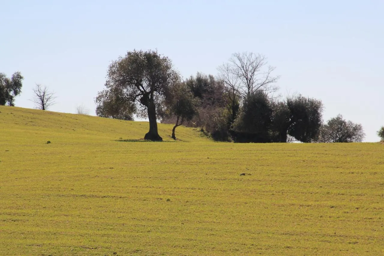 Séjour à la ferme Agriturismo La Talpa Marsiliana d'Albegna