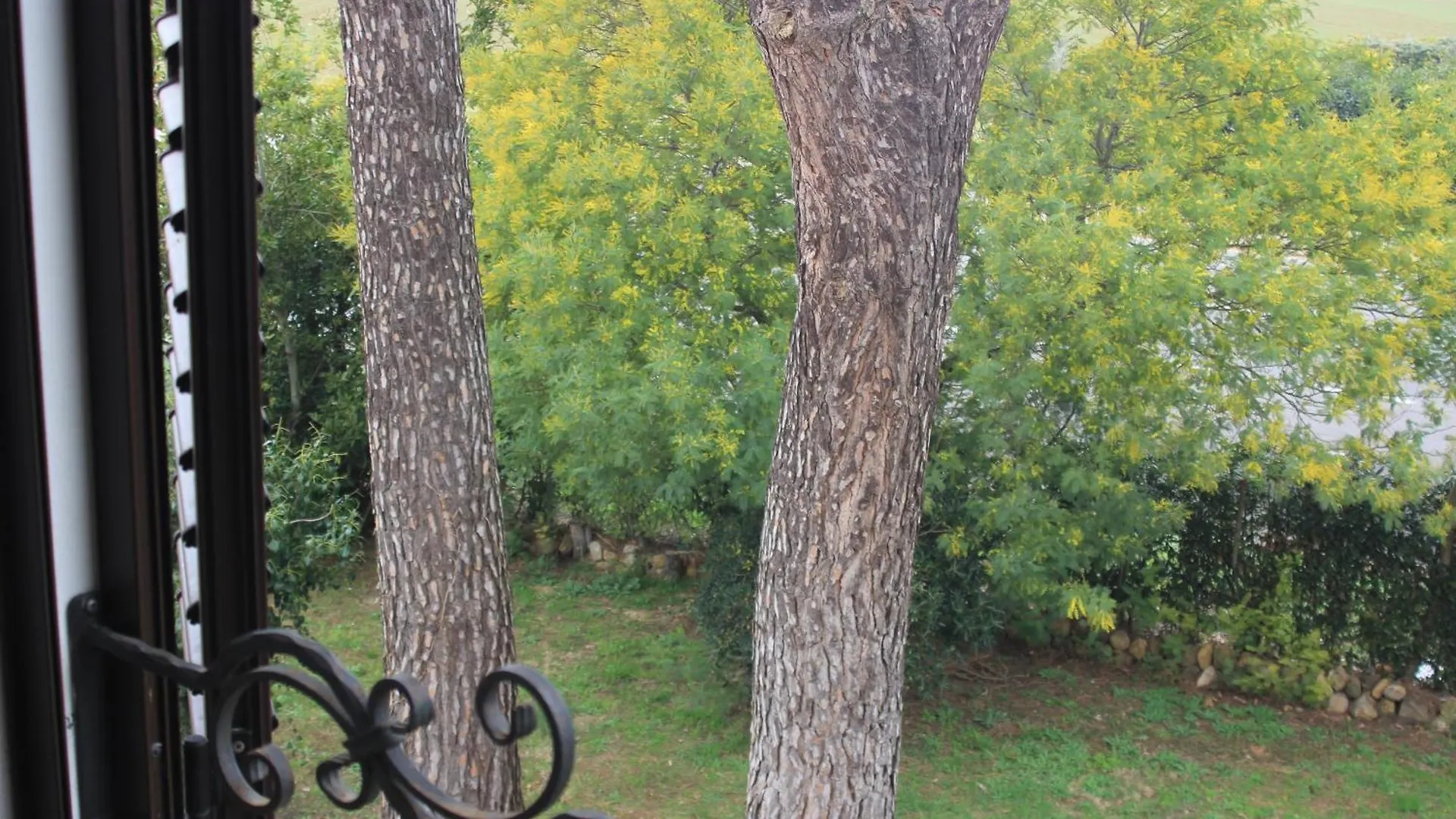Agriturismo La Talpa Marsiliana Farm stay