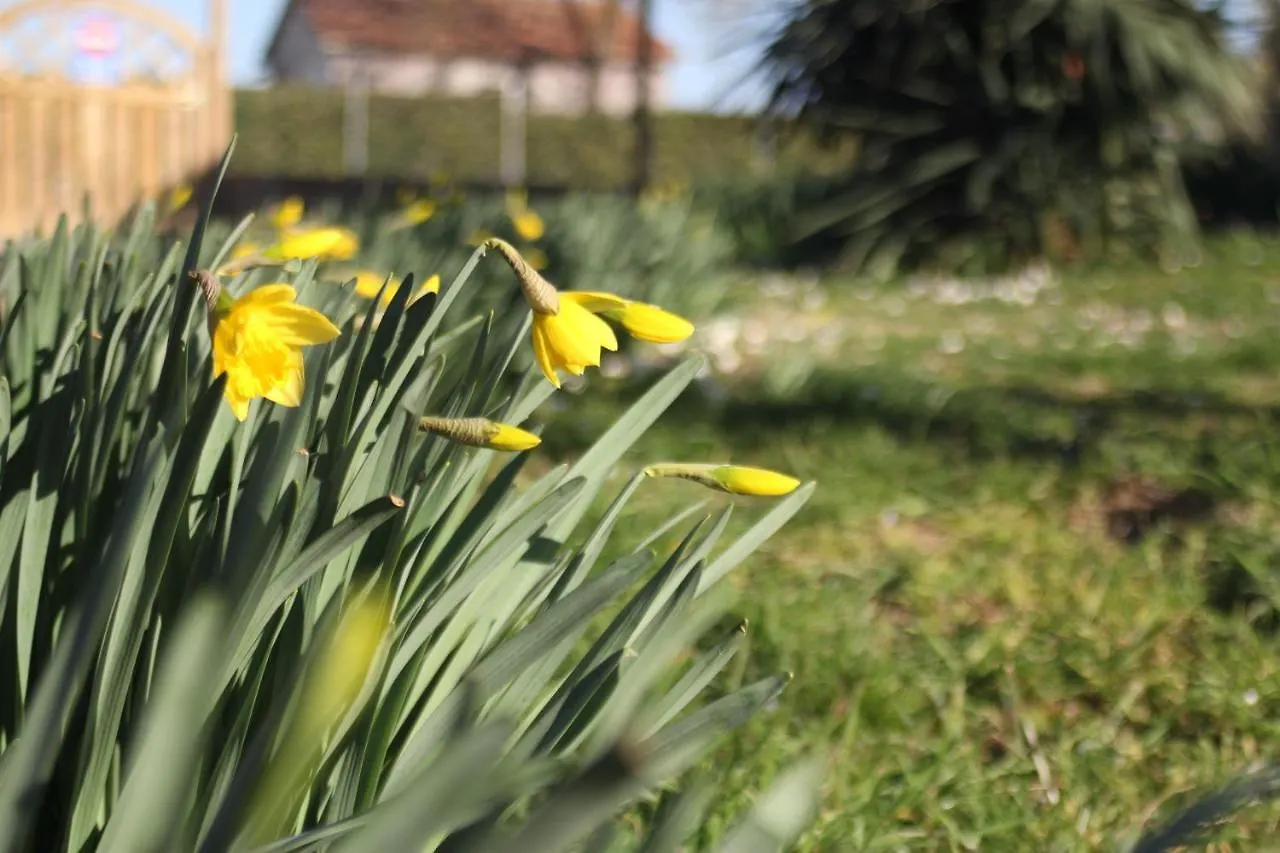 Farm stay Agriturismo La Talpa Marsiliana Italy