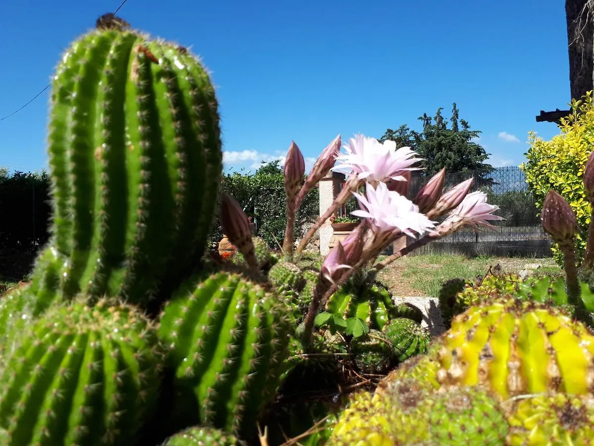 Agriturismo La Talpa Marsiliana