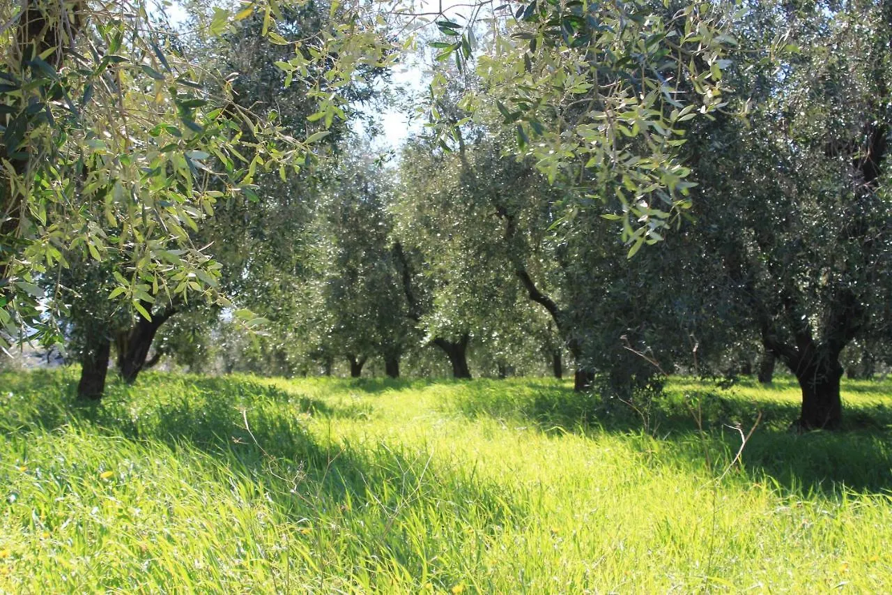 Agriturismo La Talpa Marsiliana Farm stay